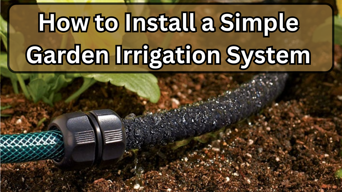 How to Install a Simple Garden Irrigation System (Beginner Friendly)