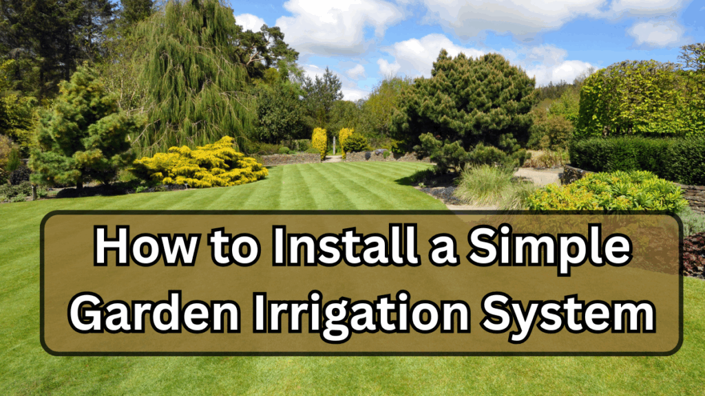 How to Keep Your Lawn Green Through October (Late-Season Plan)
