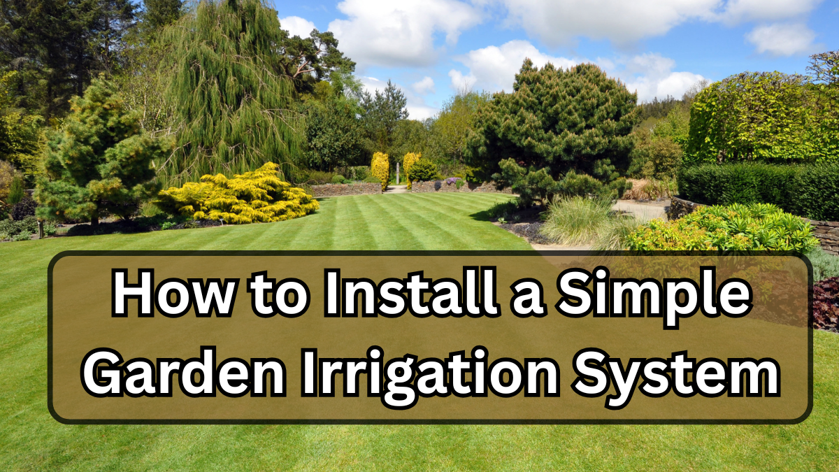 How to Keep Your Lawn Green Through October (Late-Season Plan)