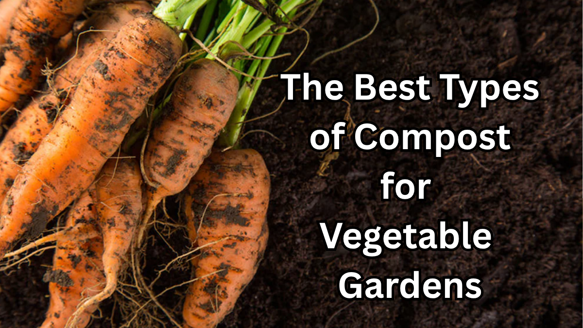 The Best Types of Compost for Vegetable Gardens