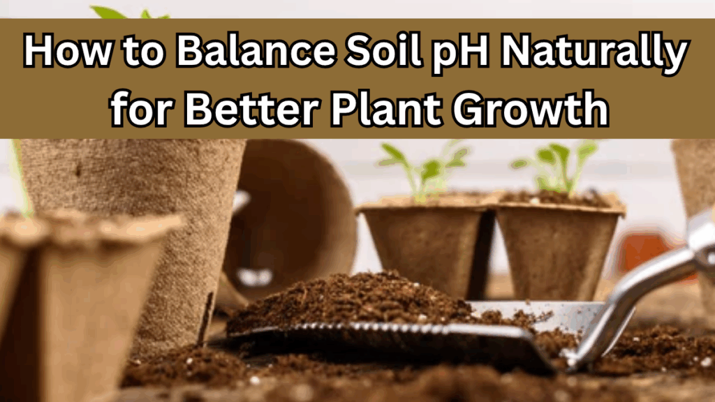How to Balance Soil pH Naturally for Better Plant Growth