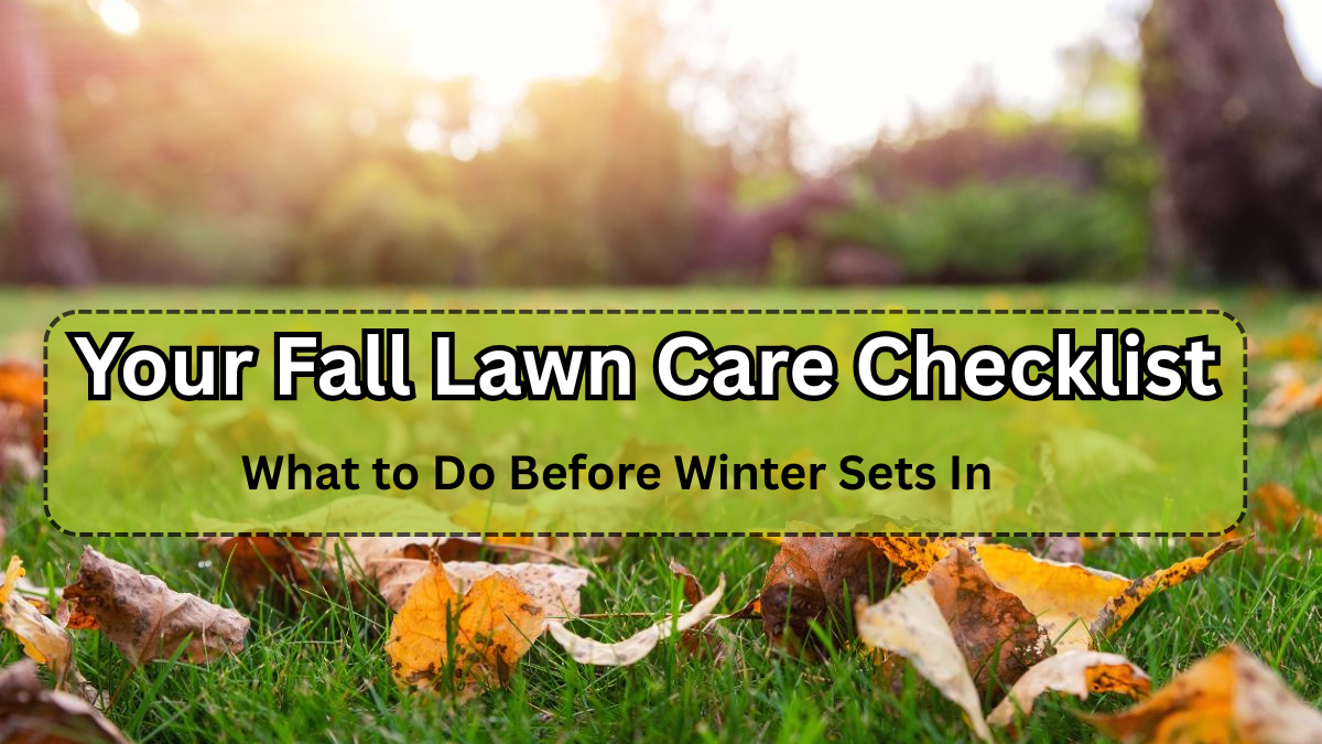 Your Fall Lawn Care Checklist: What to Do Before Winter Sets In