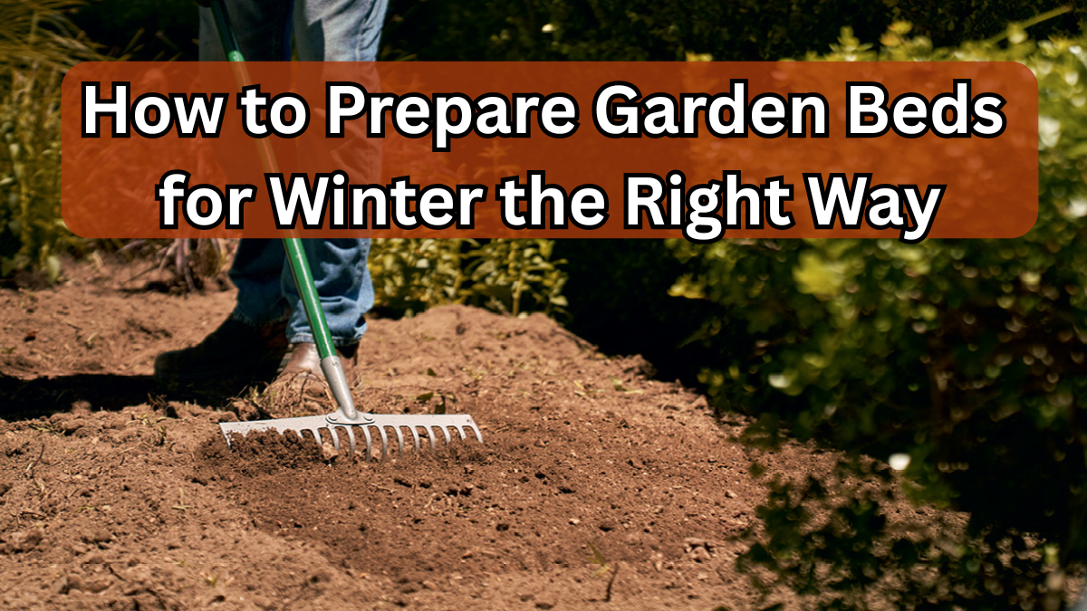 How to Prepare Garden Beds for Winter the Right Way