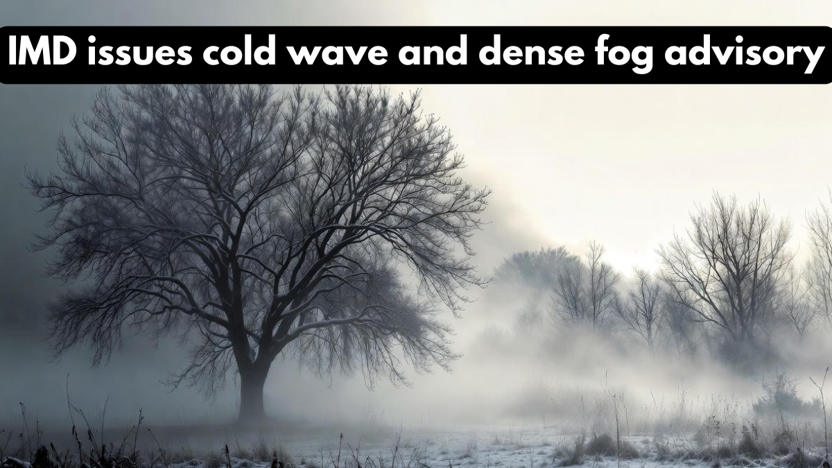 IMD issues cold wave and dense fog advisory